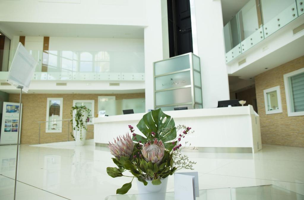 Vstupní hala nebo recepce v ubytování Smeraldo Suites & Spa
