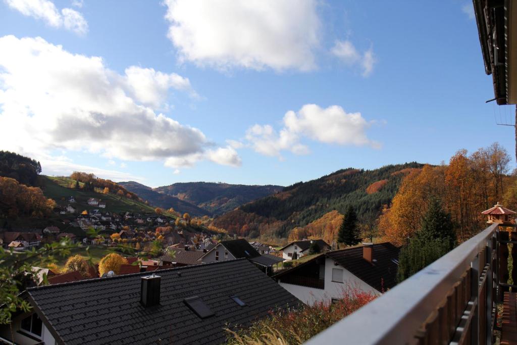 a view from the balcony of a village in the mountains at KuckucksLockennest in Seebach