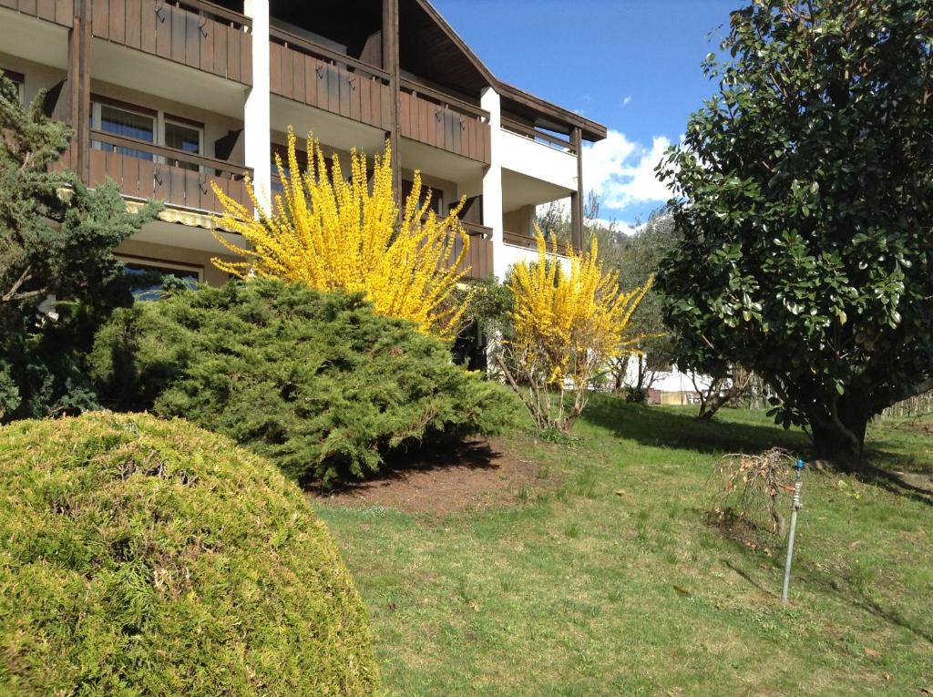 Zahrada ubytování Hotel Tannerhof