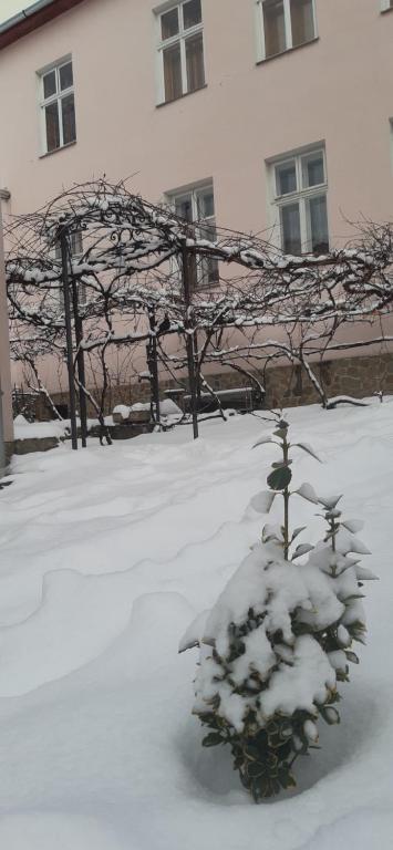 Lovecký Apartmán na náměstí ve Frenštátě pod Radhoštěm v zimě