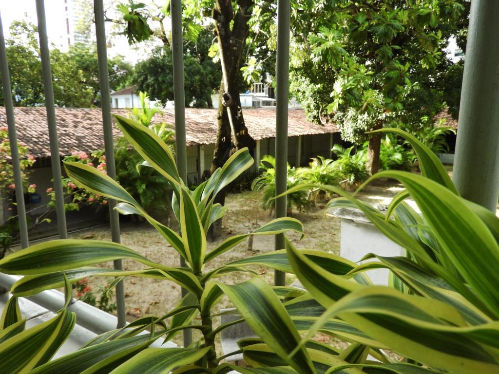 Um jardim em Pousada Cecosne