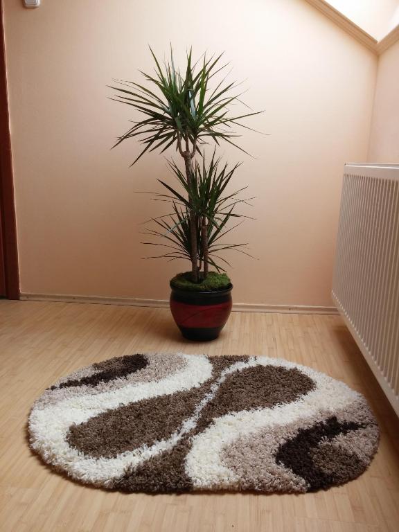 Premier Apartment - Resim 16