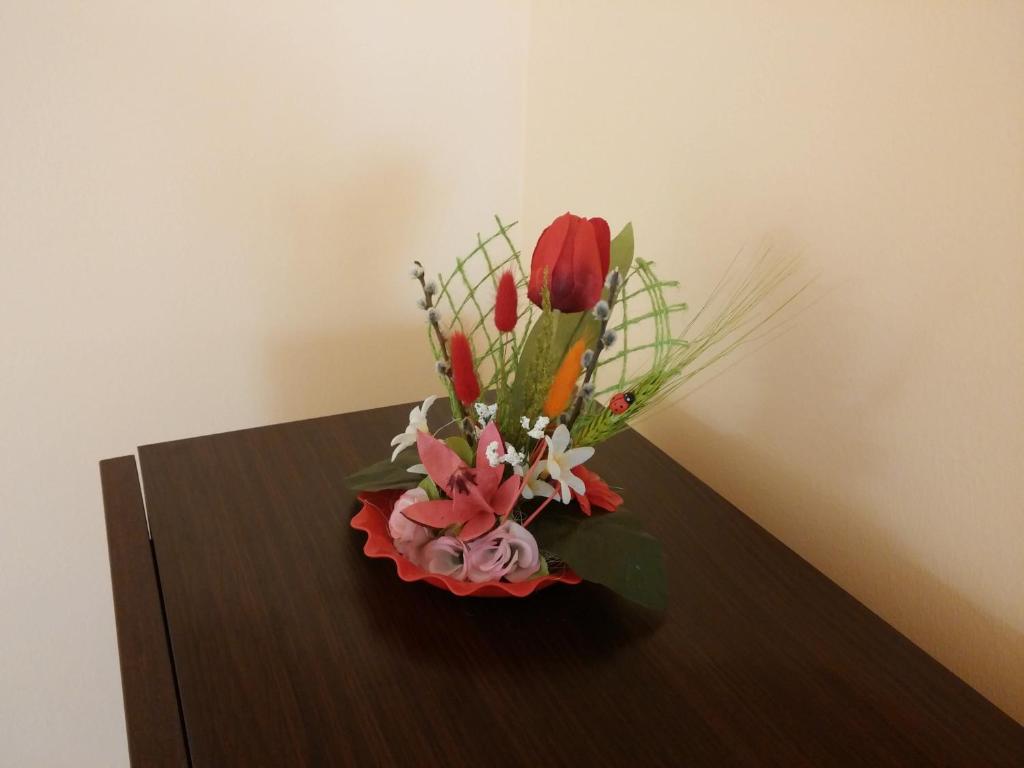 Premier Apartment - Resim 17