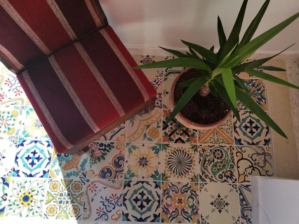 a potted plant sitting on top of a table at BEL APPART A SiDi BOUSAID in Sidi Bou Saïd