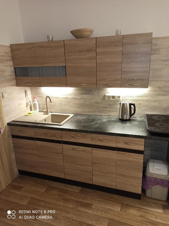 Kuchyň nebo kuchyňský kout v ubytování Apartmán BON