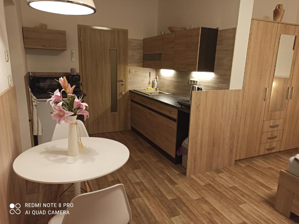 Kuchyň nebo kuchyňský kout v ubytování Apartmán BON
