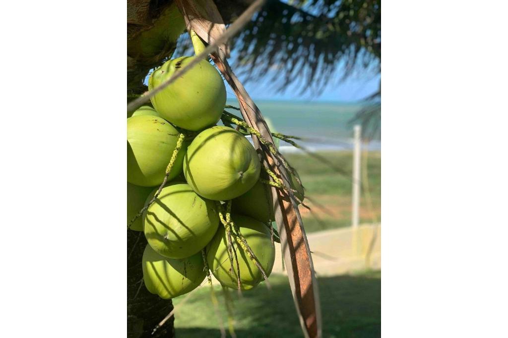  Chalé condomínio beira mar em Zumbi Beach Resort