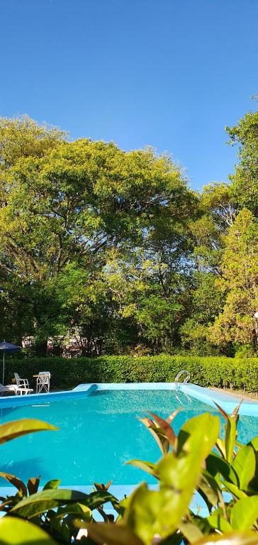 una piscina azul con árboles en el fondo en Posada El Prado en Salta