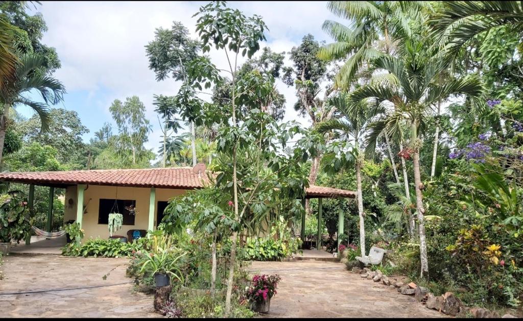  Sítio Guapuruvu
