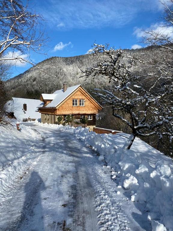 Ferienhaus Haldenmühle - traumhafte Lage mitten in der Natur mit Sauna v zimě