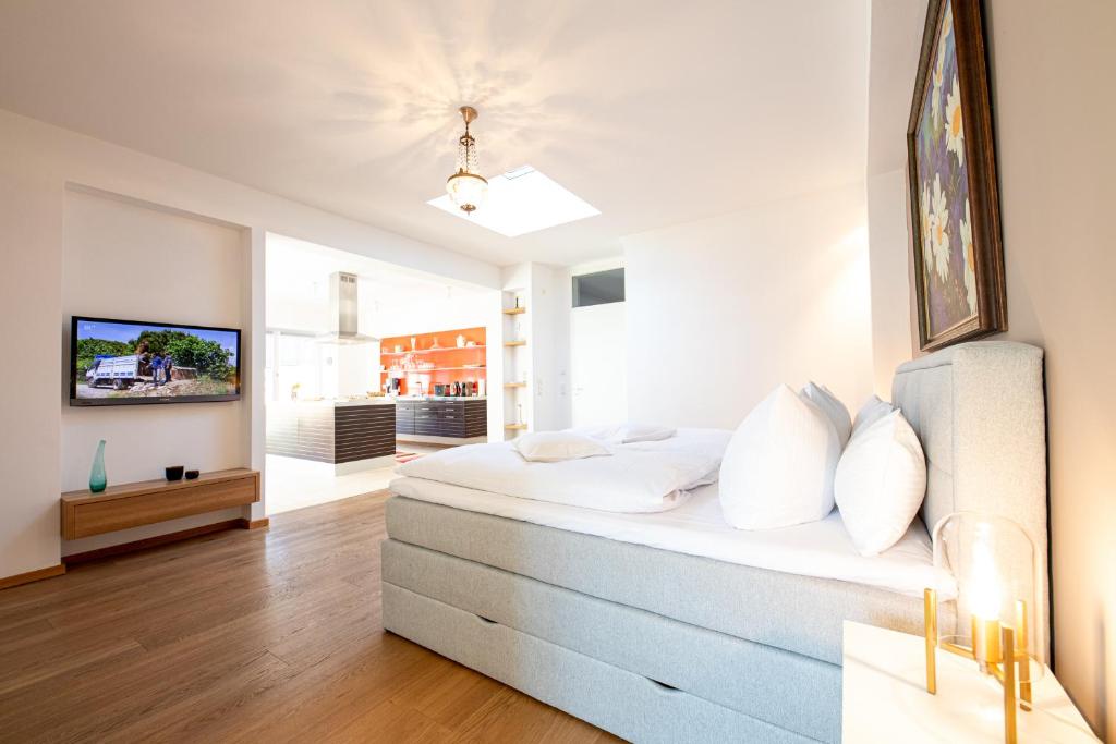 TV a/nebo společenská místnost v ubytování Alpen Loft
