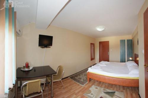 Pensiunea Ivu si Raul - Superior Double Room With Balcony