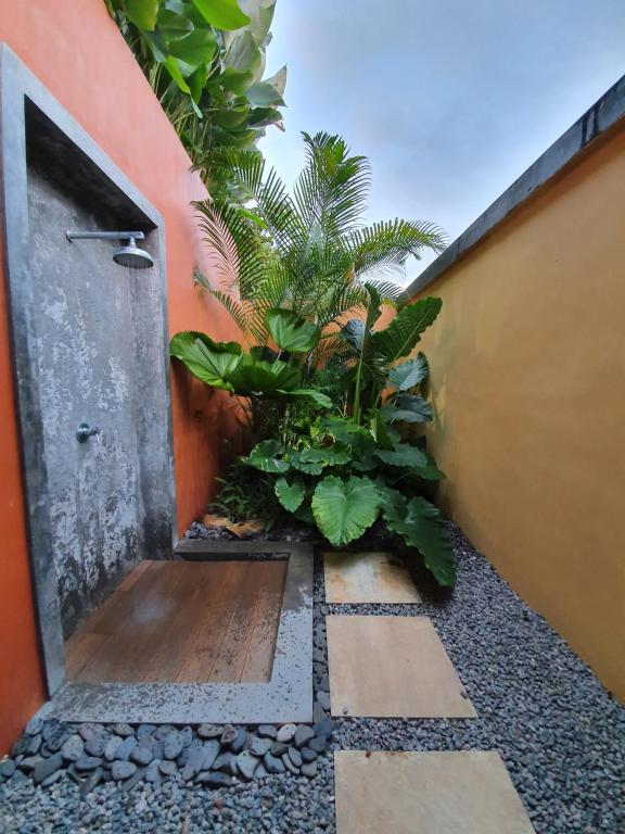 Fotografie z fotogalerie ubytování VILLA KIKI Seychelles v destinaci Anse a La Mouche