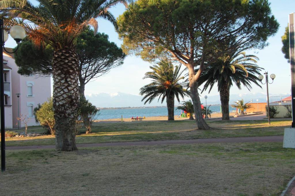un groupe de palmiers à côté d'une plage dans l'établissement Antigua, au Barcarès