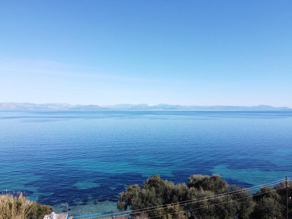 Príroda v okolí apartmánu