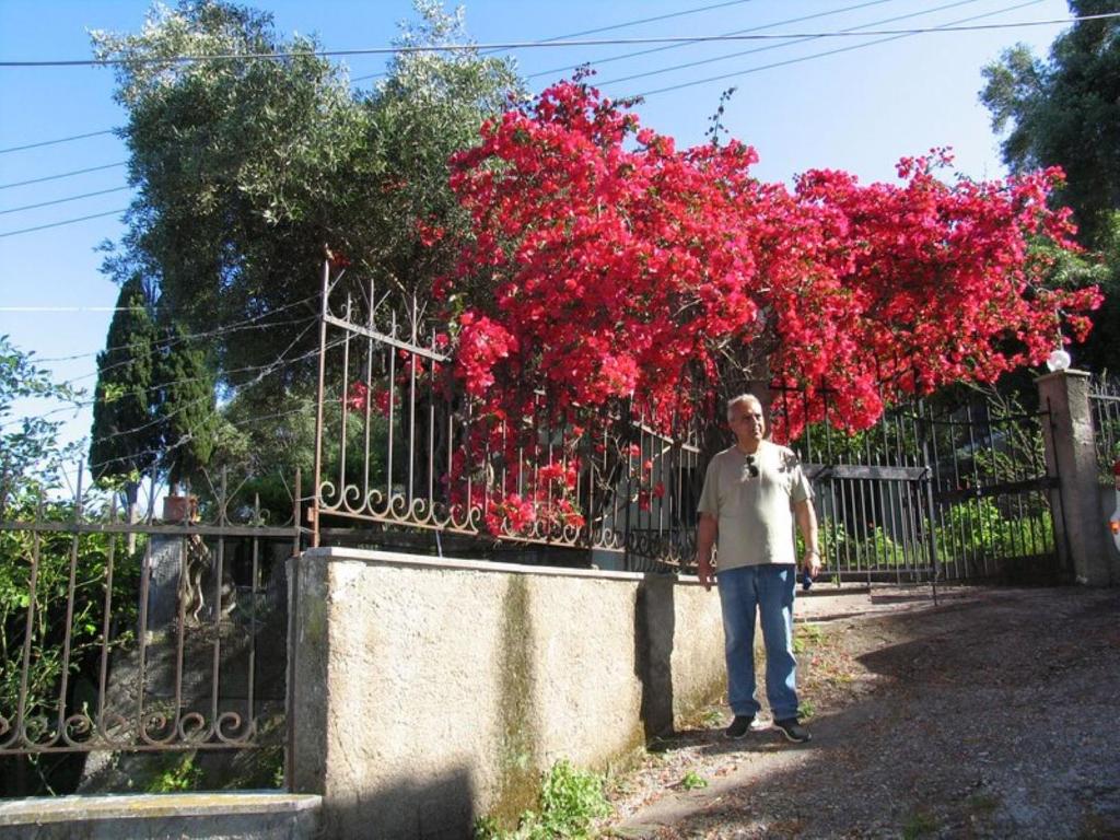 Hostia v ubytovaní VILLA MARGARITA