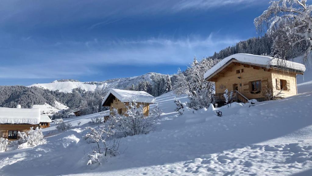 ノートル・ダム・ド・ベルコンブにあるChalets Savoieの雪に覆われた建物