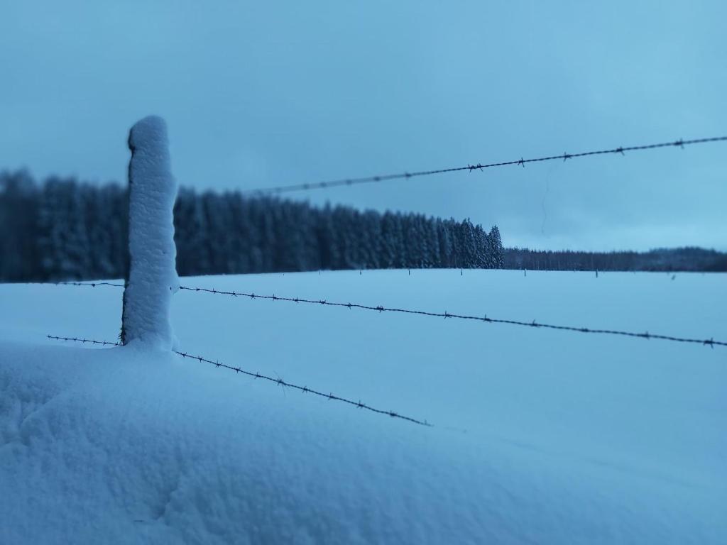 Le refuge Ardennais v zimě