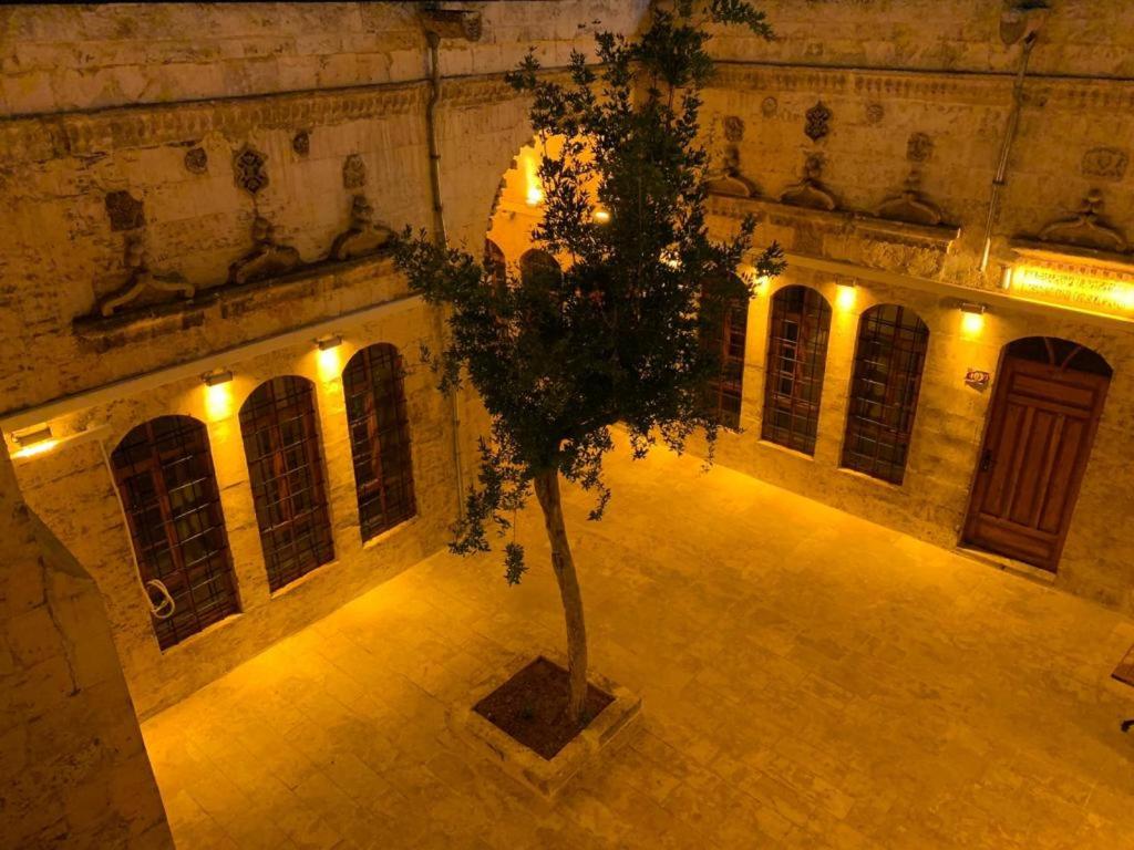 a tree in the middle of a courtyard at night at Gazel Butik Otel in Urfa