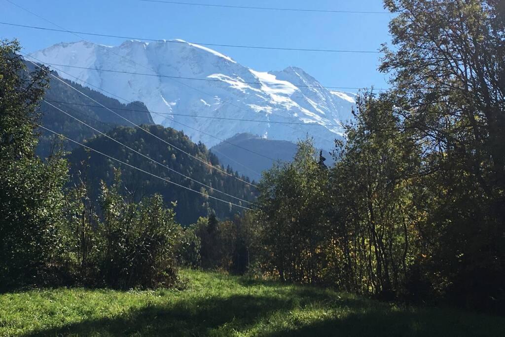 vistas a una montaña nevada desde un campo en Appartement rez de jardin expo sud, en Saint-Gervais-les-Bains