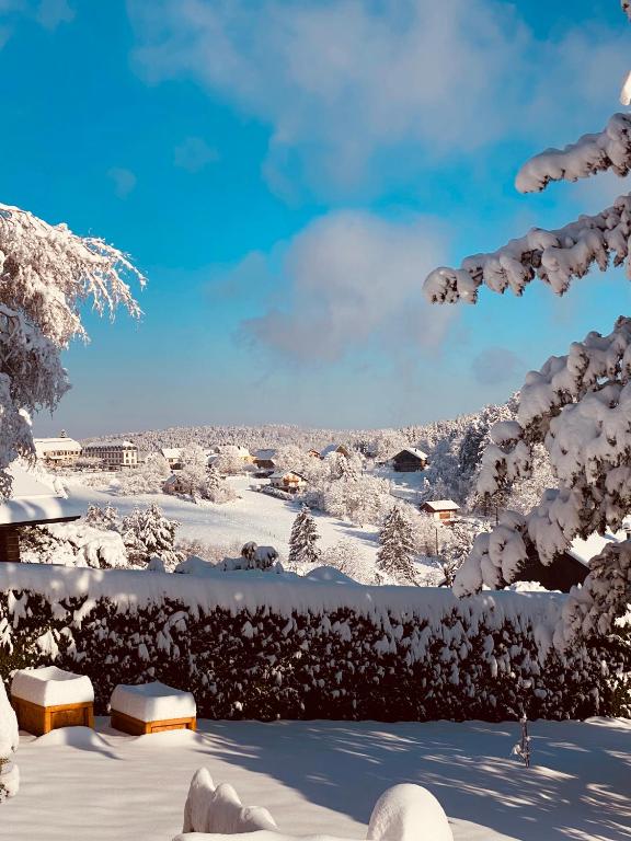 L’hippocampe durante l'inverno