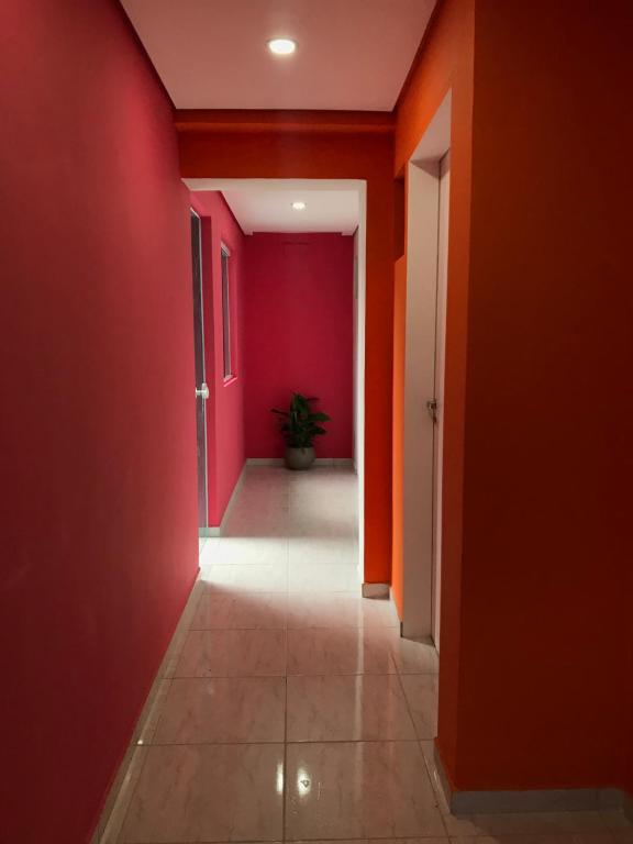  Domus Garden Coliving - Ladies only