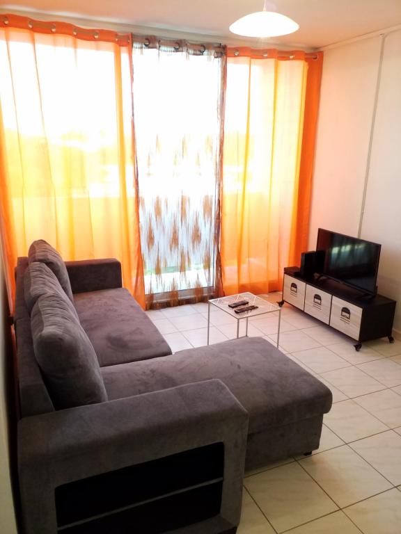 a living room with a couch and a tv at Appartement Centre Guadeloupe, accessible et proche in Les Abymes