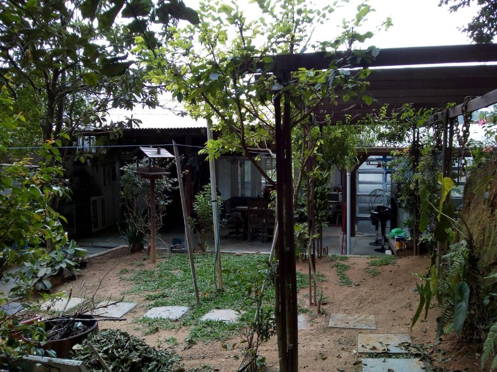  quarto natureza