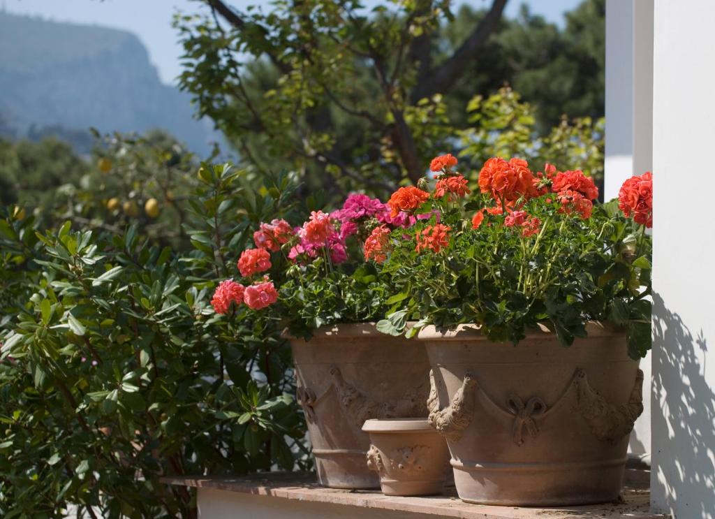 Zahrada ubytování Hotel Villa Brunella