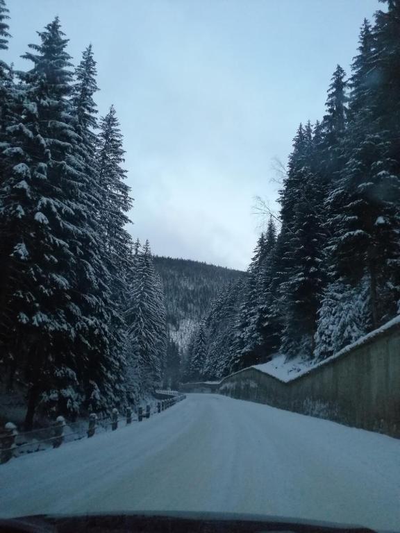 Apartament Zielone Wzgórze 1 - 9