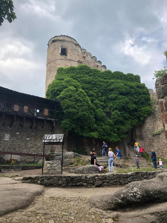 Apartament Zielone Wzgórze 1 - 8