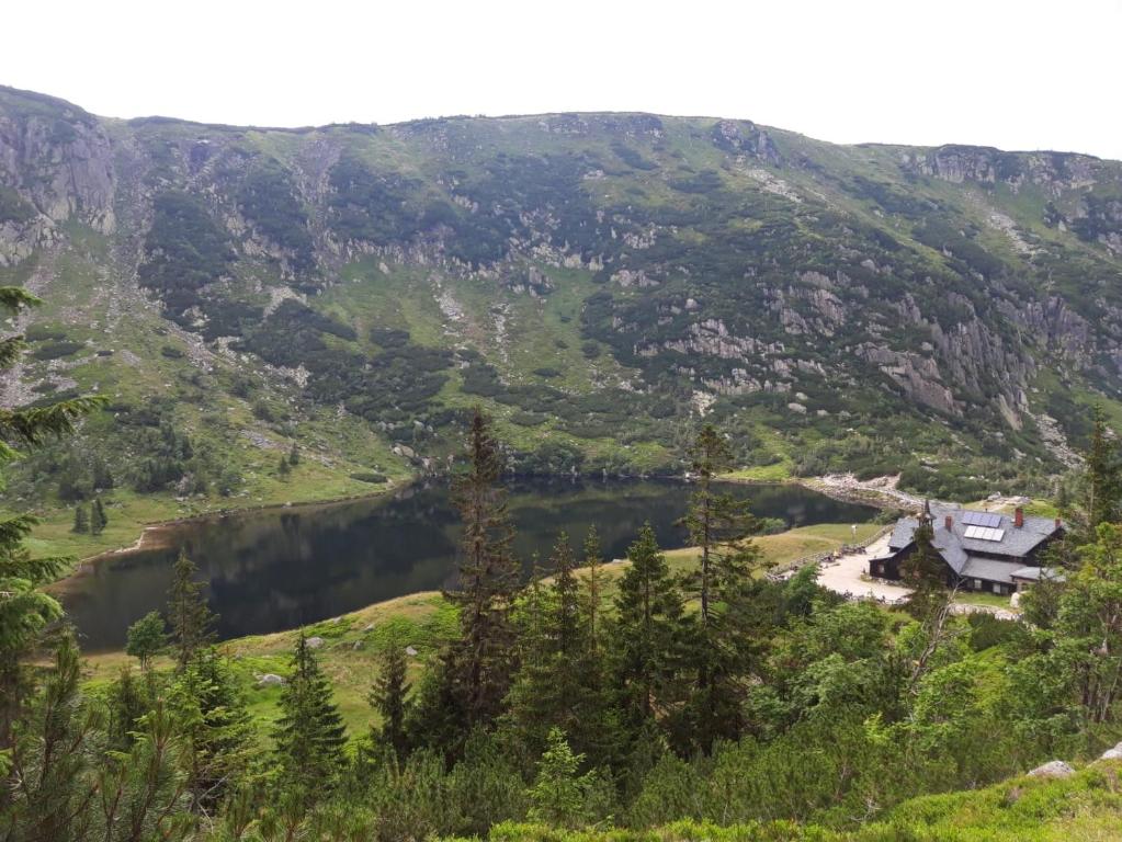 Apartament Zielone Wzgórze 1 - 7