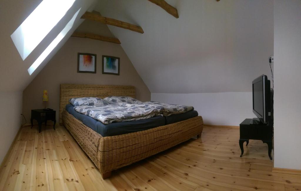 a bedroom with a bed and a television in a attic at Ferienwohnung Am Grünen Zipfel in Dresden