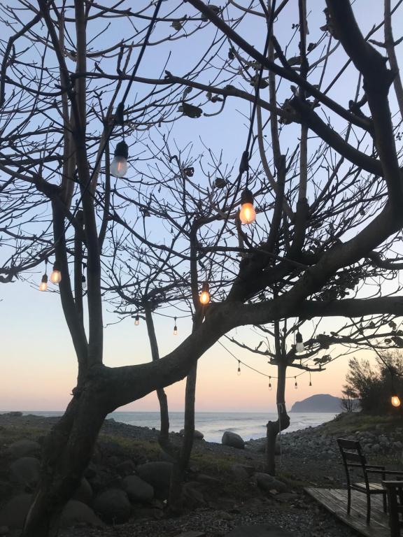 a view of the ocean through the trees with christmas lights at Bridge12th B&amp;B in Yanliau