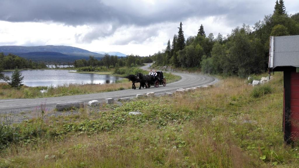 a group of horses pulling a cart down a road at Bergfosshytta 1 sør in Ron