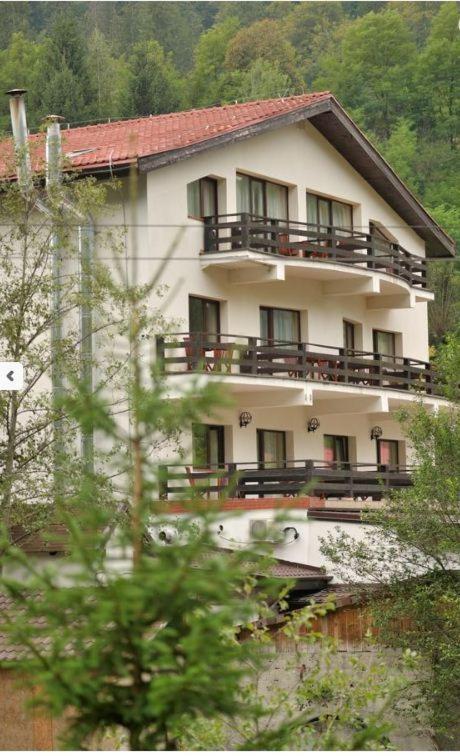 Příroda nedaleko hotelu