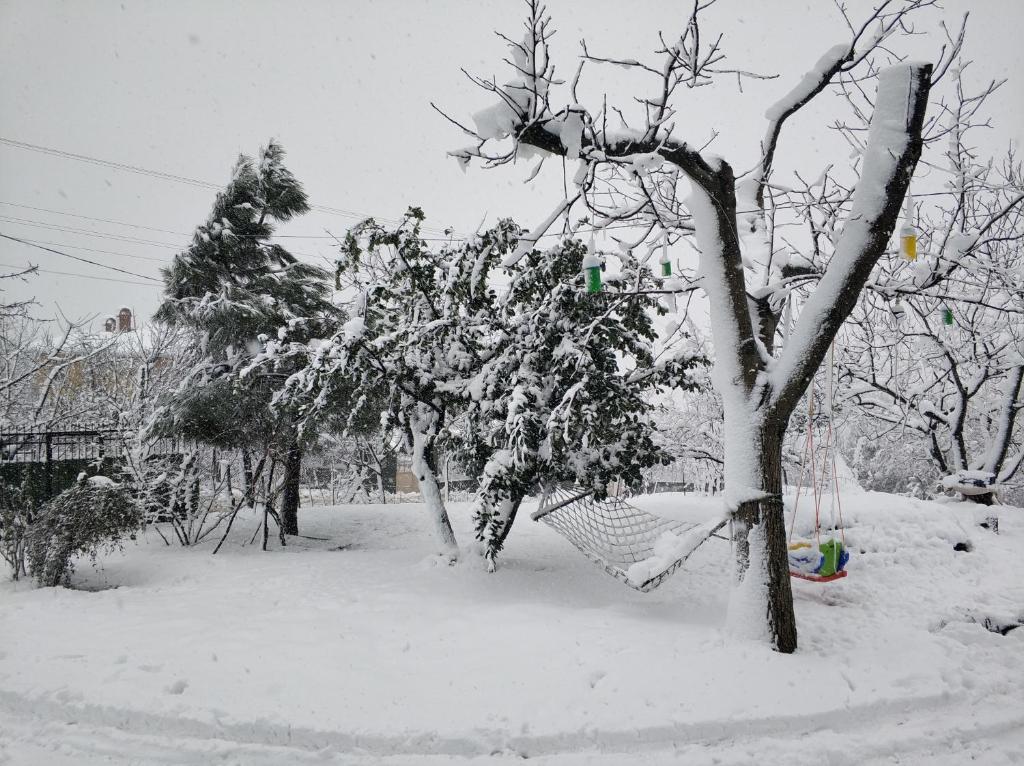 Kartepe Kaptan Hostel