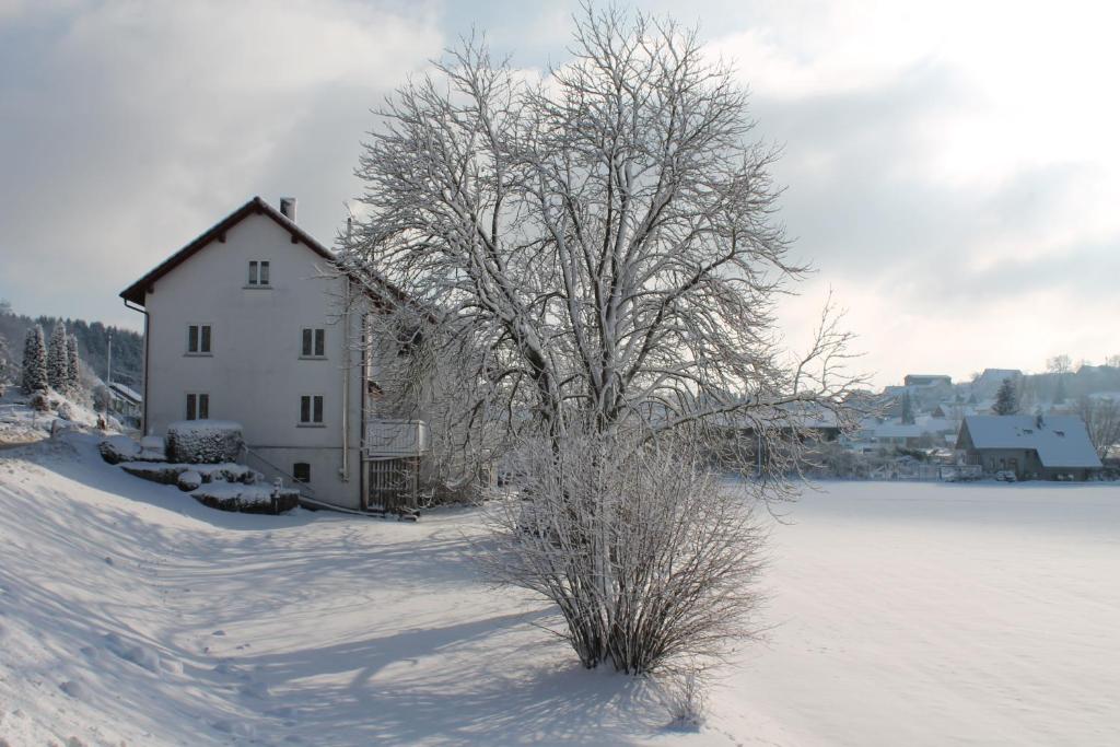 Ferienhaus Anni v zimě