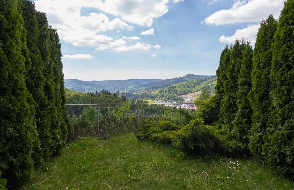 Příroda nedaleko apartmánu