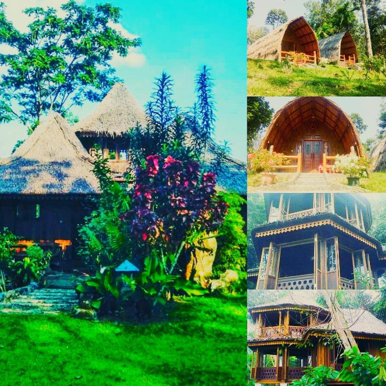 Zahrada ubytování Orangutan Bungalow