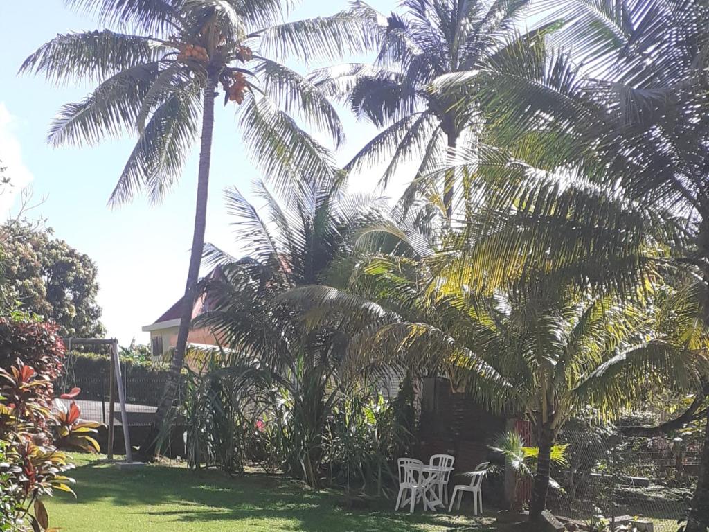 um quintal com palmeiras e uma mesa e cadeiras brancas em Bas de villa Aka Cecette em Petit-Bourg
