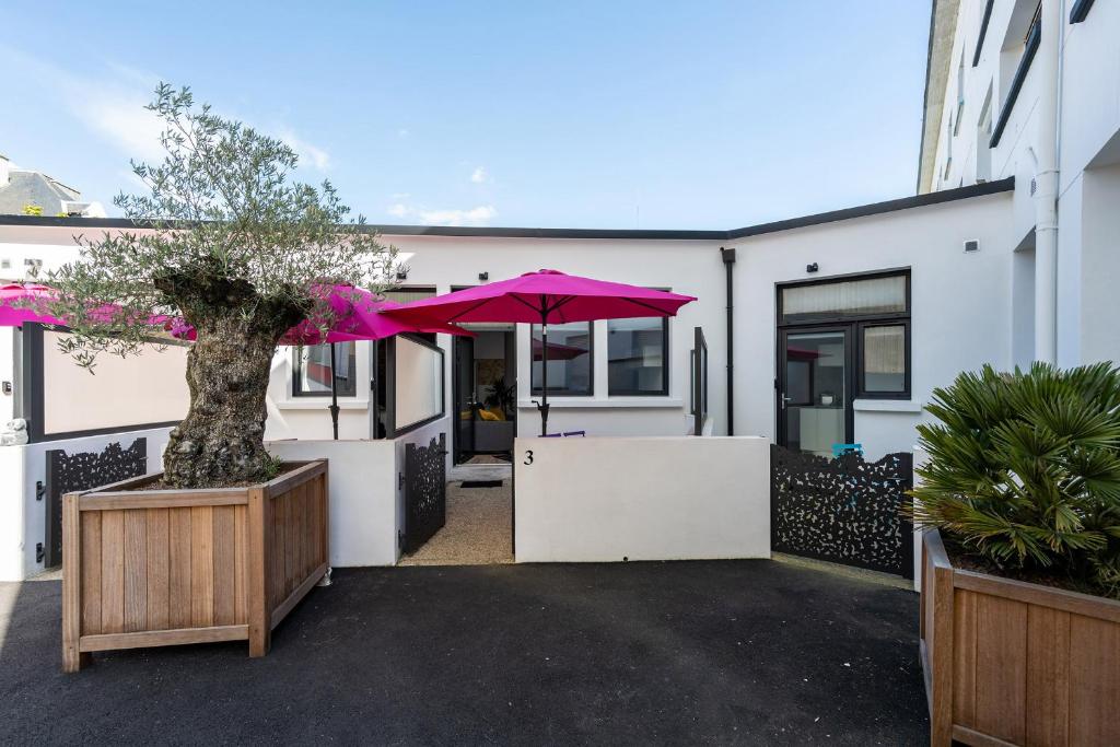 Koaloft - Studio With Terrace