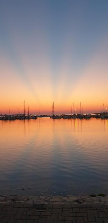 a large body of water with boats in it at Apartment Velika obala 2 in Bibinje