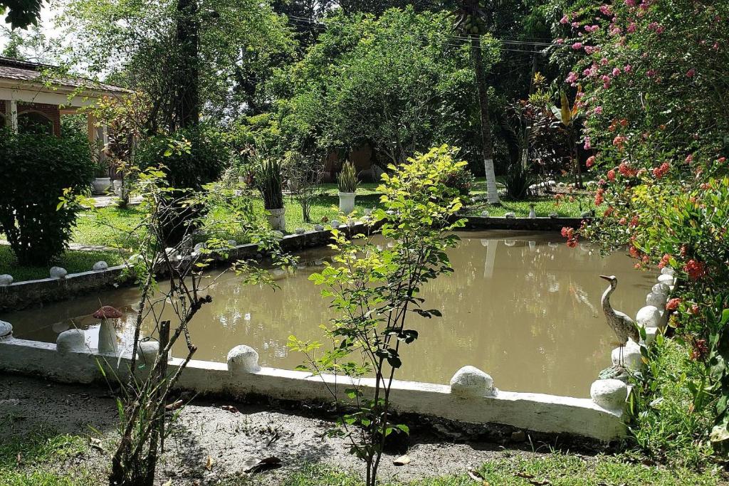  Guapi é Aqui - Piscina e Churrasco