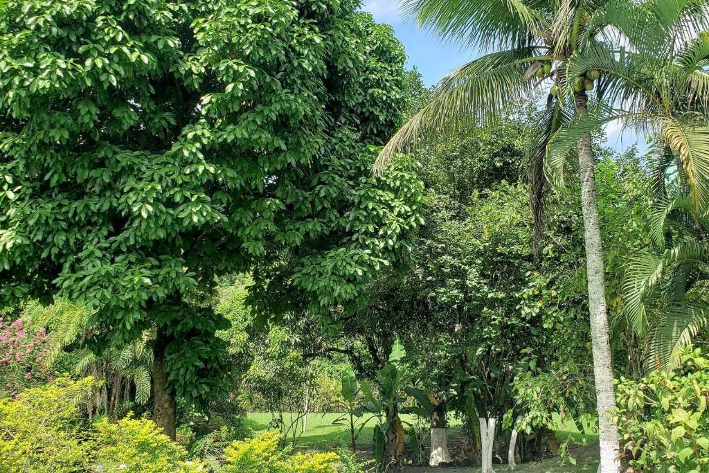  Guapi é Aqui - Piscina e Churrasco