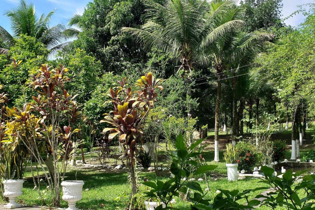  Guapi é Aqui - Piscina e Churrasco