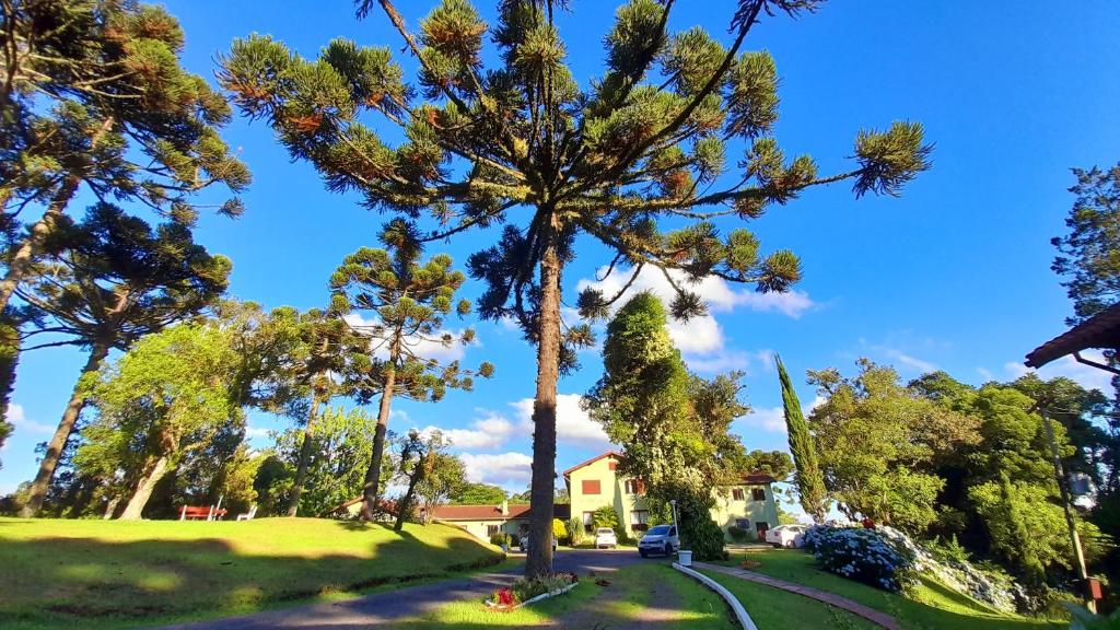 Casa da Paz Hostel & Suítes  Casa da Paz Hostel & Suítes