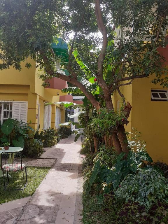  Casas Amarelas