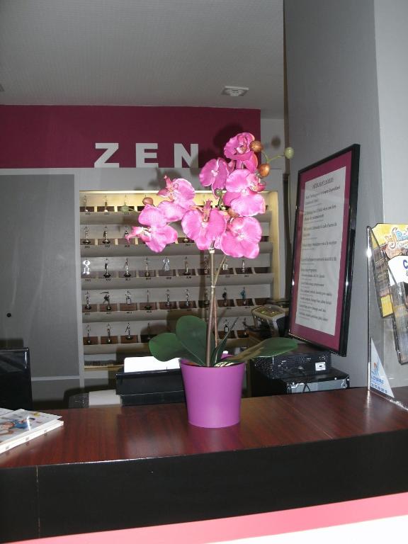 a pink flower in a pink pot on a desk at Cit&#39;Hotel Saint Jacques in Parthenay