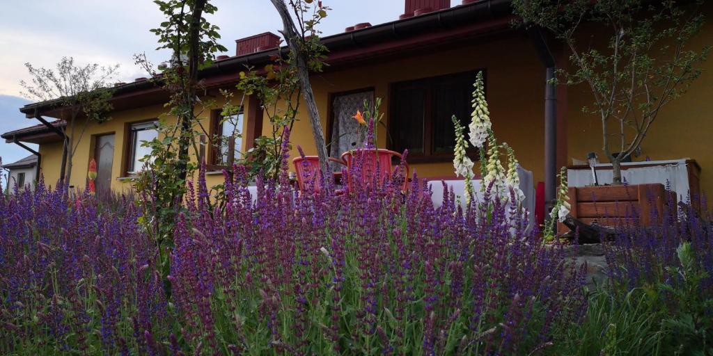 a house with purple flowers in front of it at Pszczeli Ogród - agroturystyka 
